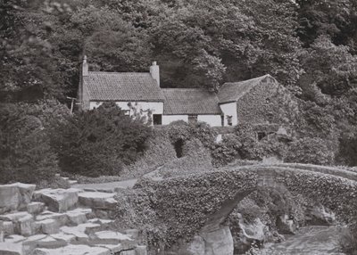Le vieux moulin, Jesmond Dene - English Photographer