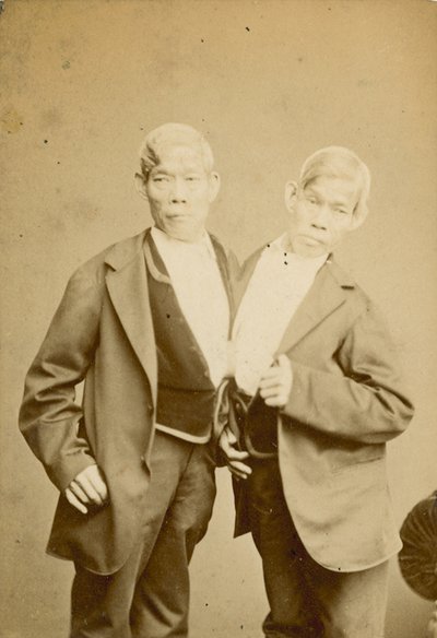Les Jeunes Siamois; photographie; exposée à l