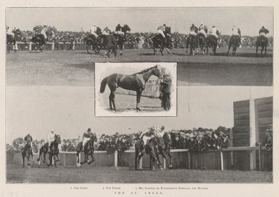 Le St Leger - English Photographer