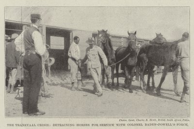 La crise du Transvaal, débarquement des chevaux pour le service avec la force du colonel Baden-Powell - English Photographer