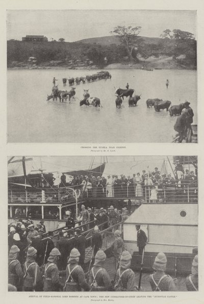 La guerre au Transvaal - English Photographer