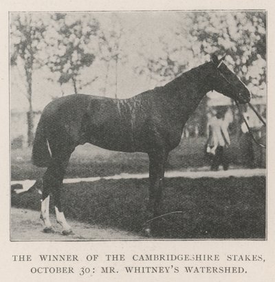 Le gagnant des Cambridgeshire Stakes, 30 octobre, Watershed de M. Whitney - English Photographer