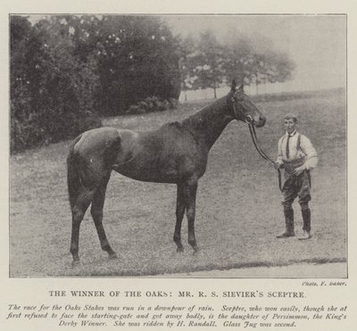 Le vainqueur des Oaks, Sceptre de M. R S Sievier - English Photographer