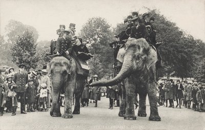 Les éléphants du zoo de Londres à Regent