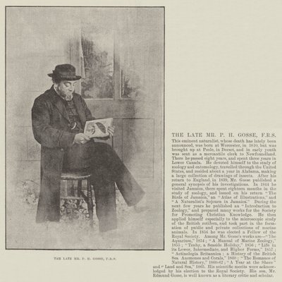 Feu M. P H Gosse, FRS - English Photographer