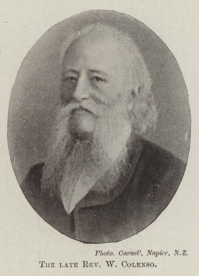 Feu révérend W. Colenso - English Photographer