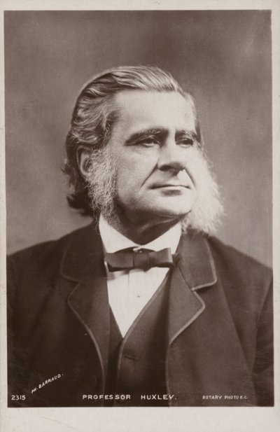 Thomas Henry Huxley (1825-1895), biologiste anglais - English Photographer