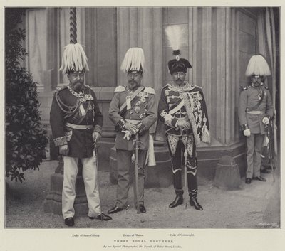 Trois frères royaux - English Photographer