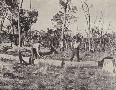 Fendeurs de bois au travail - English Photographer