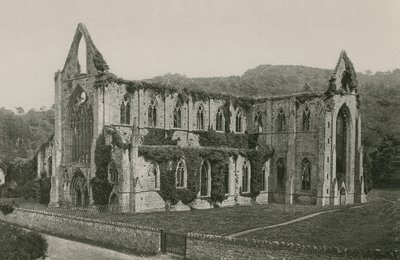 Abbaye de Tintern - English Photographer