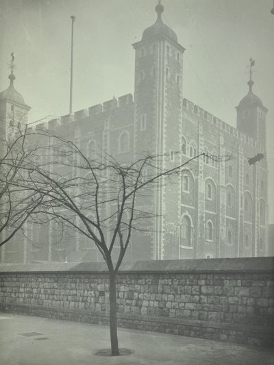 Tour de Londres, Tower Hill : Tour Blanche, 1899 - English Photographer