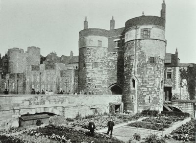 Tour de Londres, Tower Hill : les tours de Beauchamp et Byward, 1895 - English Photographer