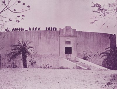 Tour du Silence, Bombay - English Photographer