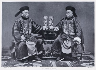 Deux mandarins chinois (photo n/b) - English Photographer