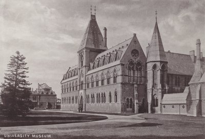 Musée Universitaire - English Photographer