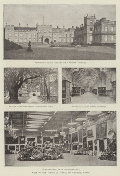 Visite du prince de Galles à Welbeck Abbey - English Photographer