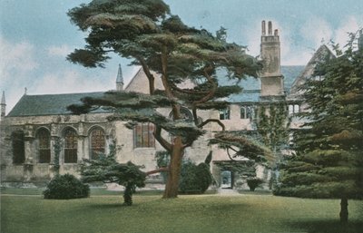 Wadham College - English Photographer