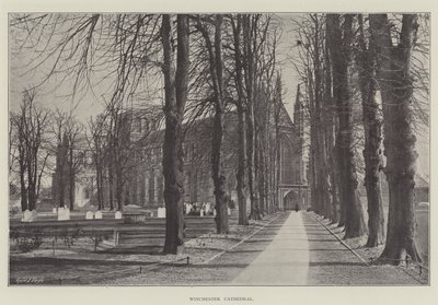 Cathédrale de Winchester - English Photographer