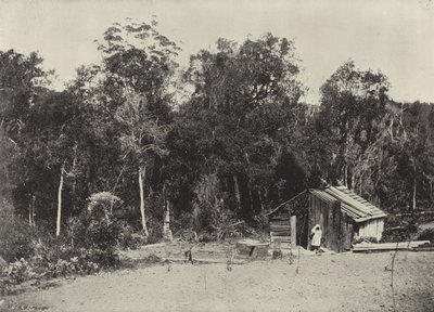 Cabane de bûcheron, Knysna - English Photographer