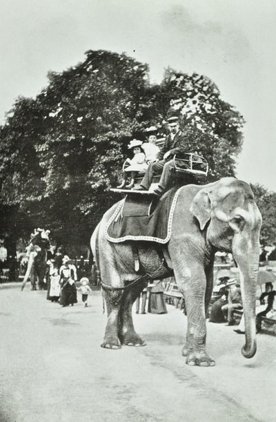 Jardins zoologiques, Regents Park : promenades à dos d