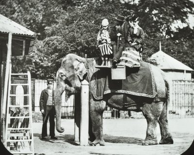 Jardins zoologiques, Regents Park : éléphant avec adultes et enfants en promenade, Zoo de Londres, 1894 - English Photographer
