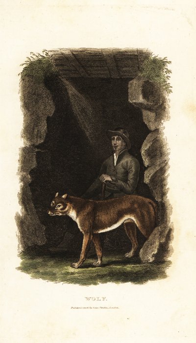 Gentleman anglais du XVIIIe siècle et son loup apprivoisé, Canis lupus, à l