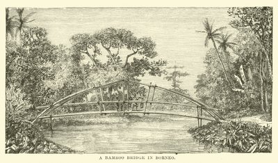 Pont en bambou à Bornéo - English School