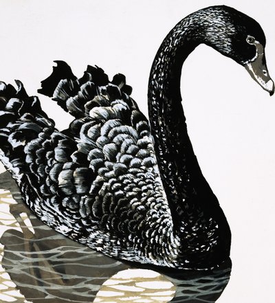 Un cygne noir - English School