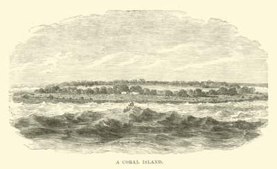 Une île de corail - English School
