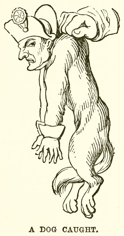 Un chien attrapé - English School