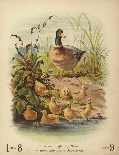 Un canard et huit canetons - English School