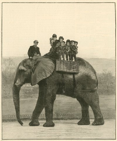 Un dernier tour sur Jumbo - English School