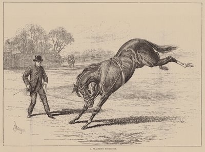 Un jeune homme fantasque (gravure) - English School