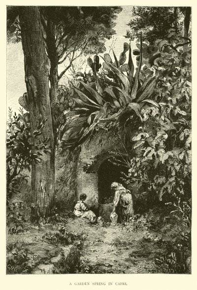 Une source de jardin à Capri - English School