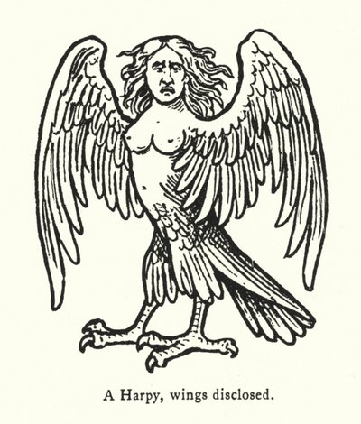 Une harpie, ailes déployées (gravure) - English School