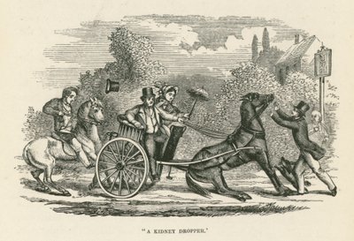 "Un compte-gouttes de rein" (gravure) - English School