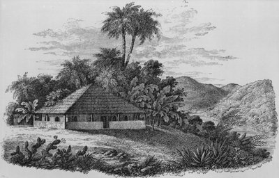 Maison d