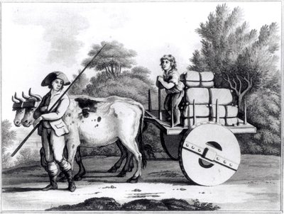 Une ferme portugaise, de A General View of the State of Portugal par James Murphy, publié en 1797 - English School