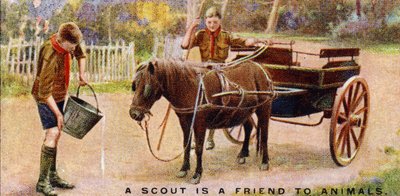 Un scout est un ami des animaux, 1929 - English School