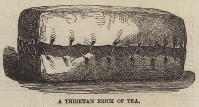 Une brique de thé tibétaine - English School