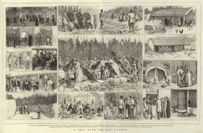 Un voyage avec les cueilleurs de houblon - English School