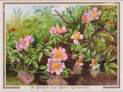 Carte de Noël victorienne représentant un buisson de roses sauvages près d