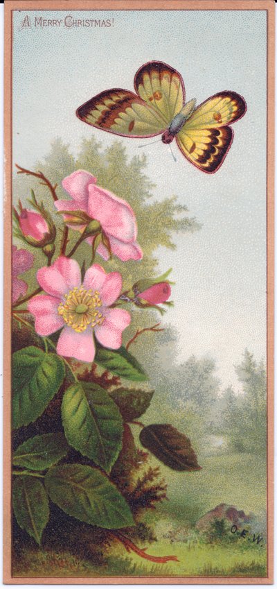 Carte de Noël victorienne représentant un papillon et un buisson de roses sauvages, vers 1880 - English School