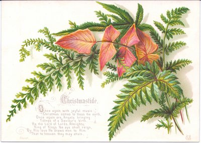 Carte de Noël victorienne avec une branche de fougères, c.1880 - English School