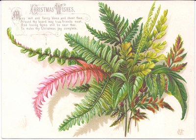 Carte de Noël victorienne avec une branche de fougères, c.1880 - English School
