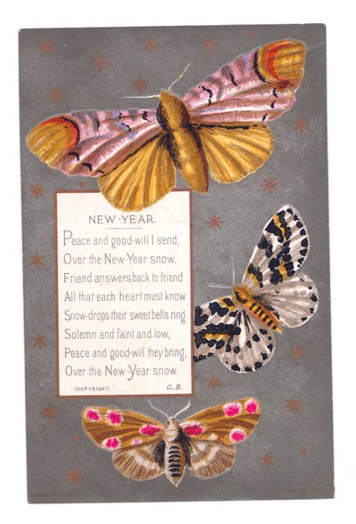Carte de Nouvel An victorienne avec trois papillons et un vers, vers 1880 - English School