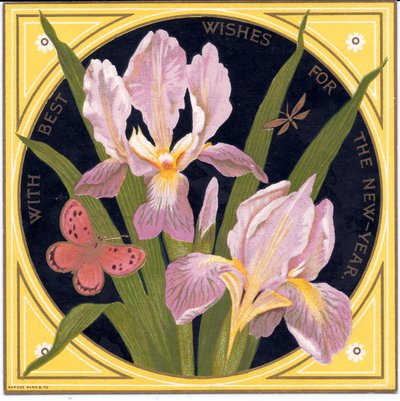 Carte de Nouvel An victorienne avec des iris et un papillon, c.1880 - English School