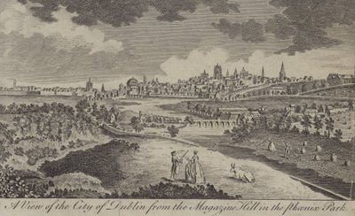 Vue de la ville de Dublin depuis Magazine Hill dans le Phoenix Park - English School