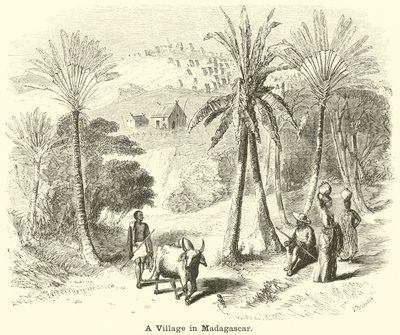 Un village à Madagascar - English School