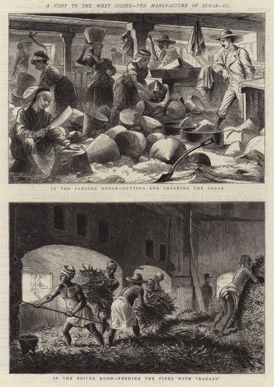Visite aux Antilles, la fabrication du sucre, III (gravure) - English School